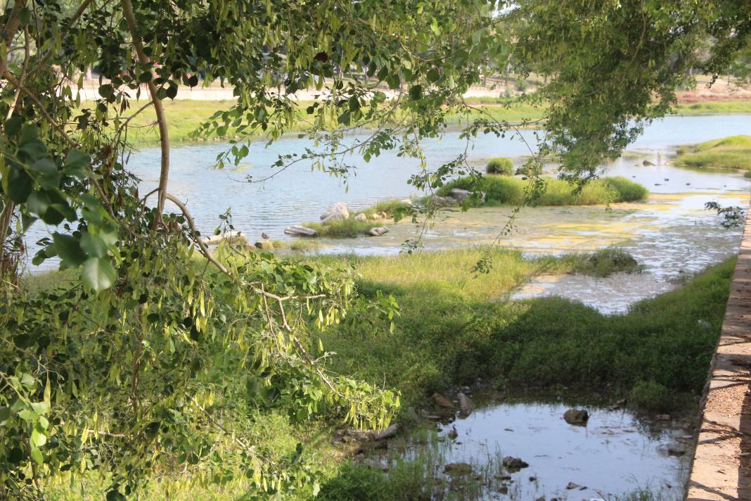 Seyhan Nehri’nin rengi değişti. Bu görüntünün sebebi ne? 7